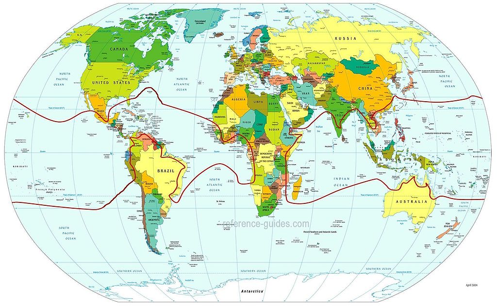 椰子在世界上的分布區域黑線以內