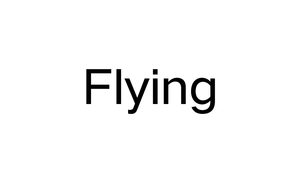 Flying(英語詞語)