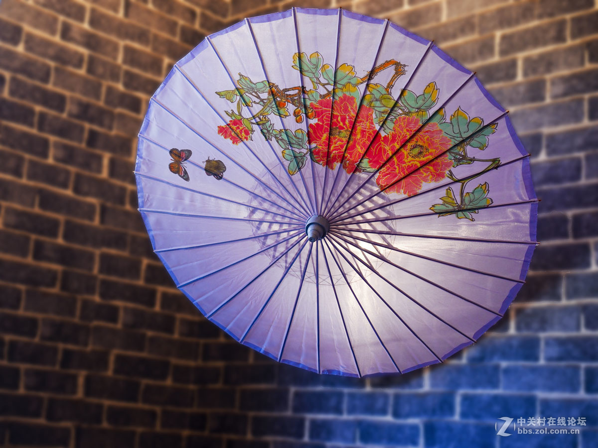 油紙傘(中國傳統工藝品)