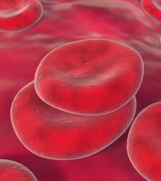 血液中的紅細胞